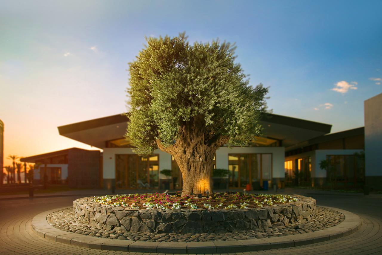 The Setai Sea Of Galilee Hotel Ein Gev Exterior foto